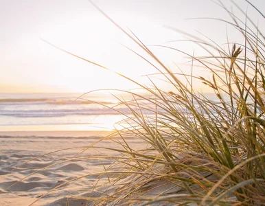 Miniatura: Ocean wyrzucił tajemniczy obiekt na plażę...
