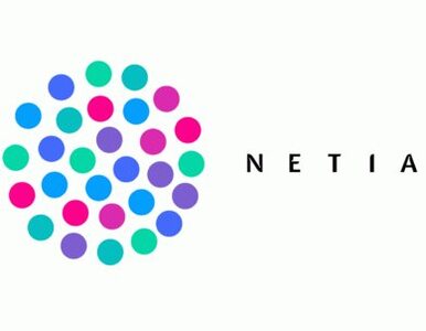 Miniatura: Internet dla firm od Netii do końca roku...