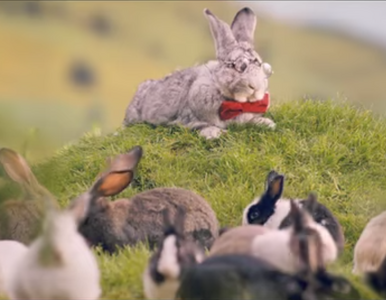 Miniatura: Zaskakujący spot Ministerstwa Zdrowia....