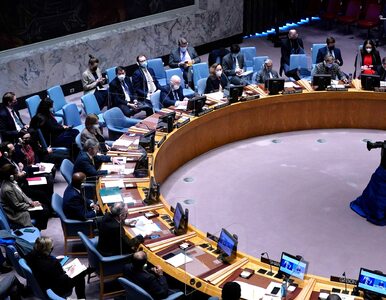 Miniatura: Rada Bezpieczeństwa ONZ odrzuciła...