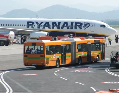 Miniatura: Pijacki Kraków czyli kolejna wpadka Rayanair