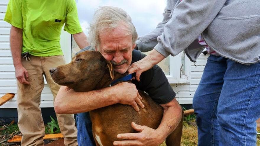 Mężczyzna z Alabamy odnalazł swojego psa w domu zniszczonym przez tornado w 2012 r. (fot. epicdash.com)