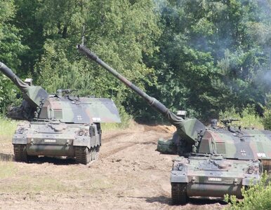Miniatura: Niemiecki producent broni złożył Ukrainie...
