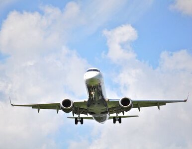 Miniatura: Ewakuacja na lotnisku Gatwick pod...