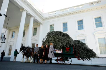 Melania Trump odebrała choinkę 