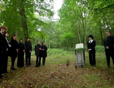 Miniatura: Skandaliczne sceny w programie TVN. Polacy...