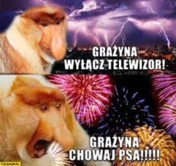 Mem z okazji Sylwestra 
