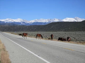The Santa Fe Trail, Nowy Meksyk (fot. epicdash.com)