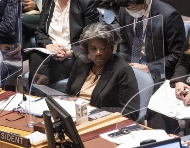 Miniatura: Thomas-Greenfield: Zachowanie rosyjskich...