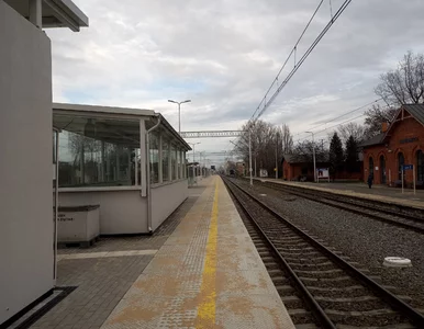 Miniatura: Tragedia na dworcu PKP. Śledczy przekazali...