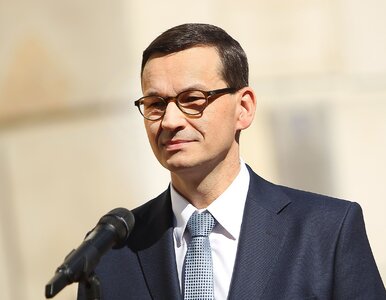 Miniatura: Pochłopień: Jak łatwo wyśmiać premiera