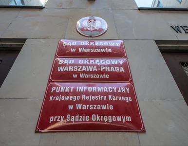 Miniatura: Dziecko zginęło po wypadku w Parku...