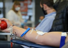 Miniatura: Potrzebna młoda krew. Transfuzjolog: „Tego...