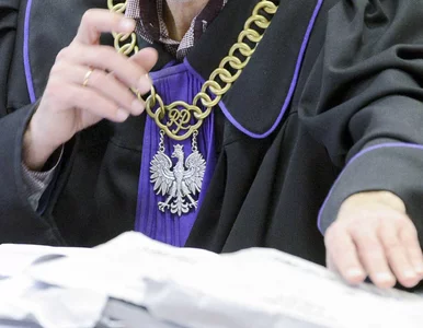 Miniatura: Nagłe przyspieszenie w sprawach...