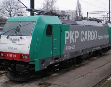 Miniatura: PKP szuka chętnych na zakup PKP Cargo
