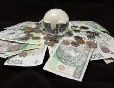 Miniatura: Dynamiczne fundusze emerytalne - to możliwe?