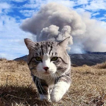 Dymiący wulkan Agung 