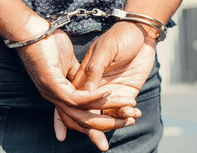 Miniatura: Brutalny atak 16-latka. Połamał...