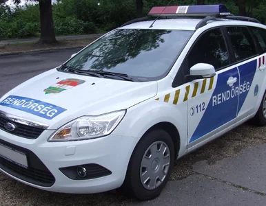 Miniatura: Wypadek polskiej rodziny na Węgrzech....