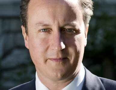 Miniatura: Cameron: atakujemy reżim, a nie konkretne...