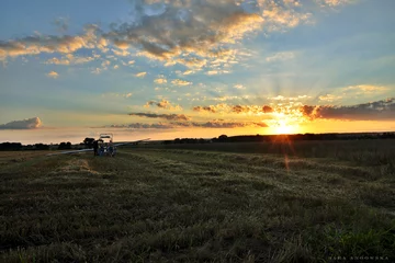 Lądowanie w terenie przygodnym oraz składanie szybowca na wózek, szybowiec Junior Aeroklubu Ostrowskiego 