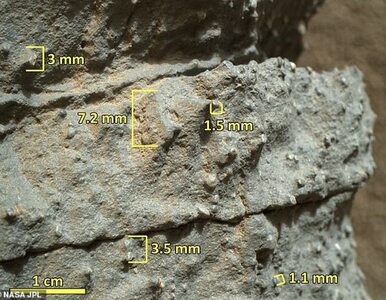 Miniatura: Łazik Curiosity odkrył dowody gigantycznej...