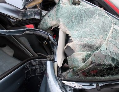 Miniatura: Pociąg staranował samochód. W aucie było...