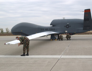 Miniatura: Global Hawk - nowe drony dla NATO