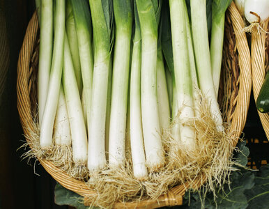 Miniatura: Masz młode pory? W marcu zrób to...