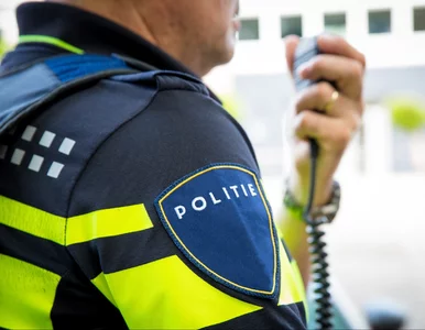 Miniatura: Zabójstwo 44-letniej Polki w Holandii....