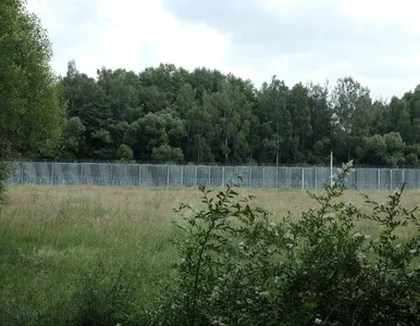 Miniatura: Migranci szturmują polską granicę. SG...