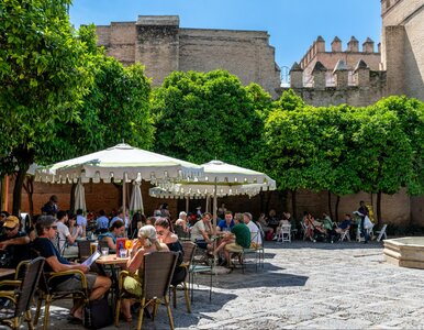 Miniatura: To najbardziej szczęśliwe miasto w...