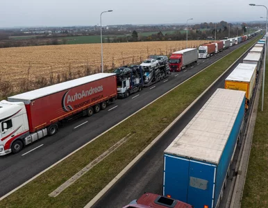 Miniatura: Mer Lwowa do Polaków: Wasz gigantyczny...