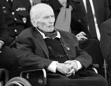 Miniatura: Zmarł prof. Andrzej Maczek. Syn generała...