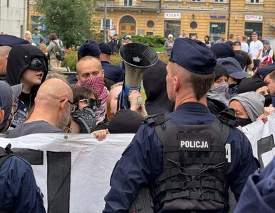 Miniatura: Gorąco na manifestacji „Stop Imigracji!”....