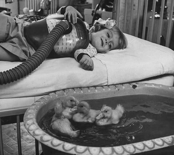 Zwierzęta stosowane jako część terapii medycznej, 1956 (fot. boredpanda.com)