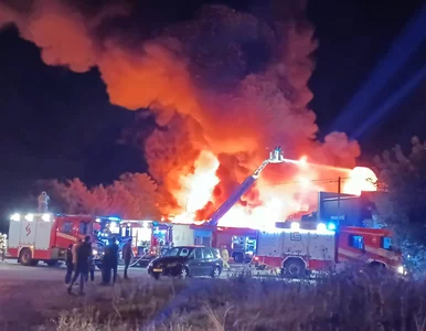 Miniatura: Gigantyczny pożar na Śląsku. Pilny apel do...