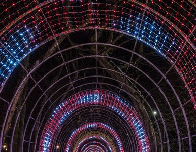 Miniatura: Niemiecki dziennik dostrzegł polską...