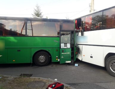 Miniatura: Zderzenie szkolnych autobusów w Pankach na...