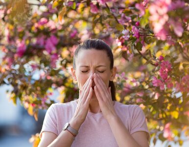 Ten sezon pyłkowy jest wyjątkowo agresywny. Jaka jest rada dla alergików?