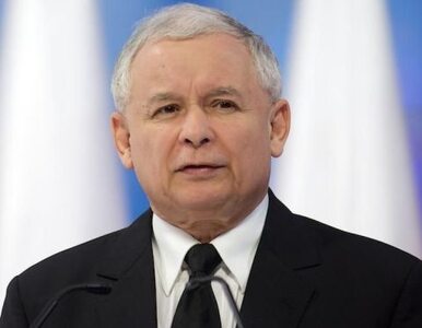 Miniatura: "Kaczyński nie robi błędów, w Platformie...