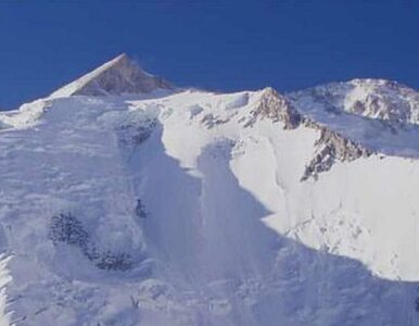 Miniatura: Himalaistka o Gaszerbrum: jeśli zejdzie...