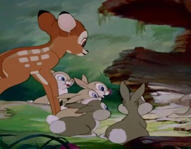 Miniatura: Kultowe bajki Disneya. Rozpoznasz tytuł po...