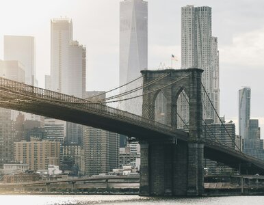 Miniatura: Szybki QUIZ prawda czy fałsz z wiedzy ogólnej