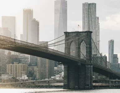 Miniatura: Szybki QUIZ prawda czy fałsz z wiedzy ogólnej