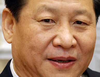 Miniatura: Chiny mają nowego prezydenta