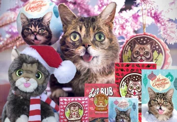 Lil Bub - 1,7 mln obserwujących 