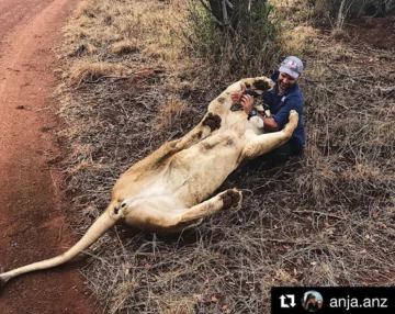 Rezerwat przyrody w RPA 