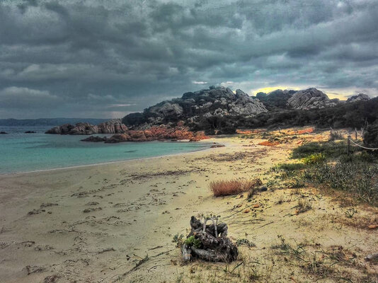 Miniatura: Wyspa Budelli w obiektywie Mauro Morandiego