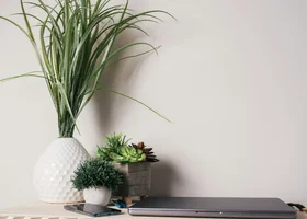 Miniatura: Quiz ortograficzny ze szkolnej ławki....